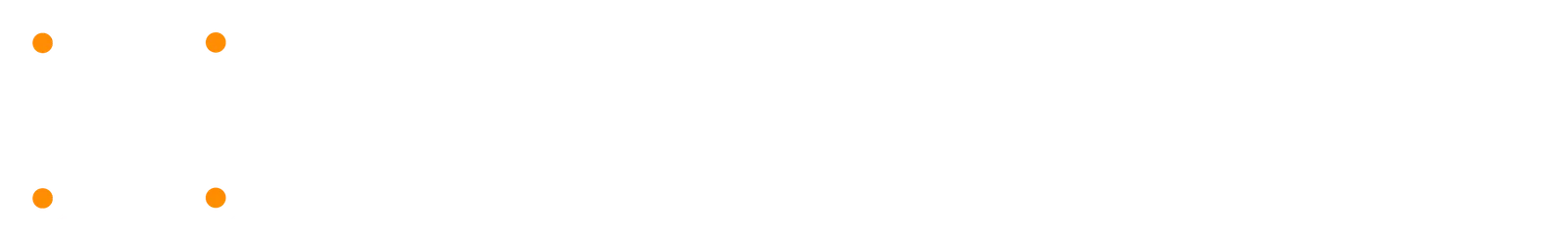 Flyer Visions logo